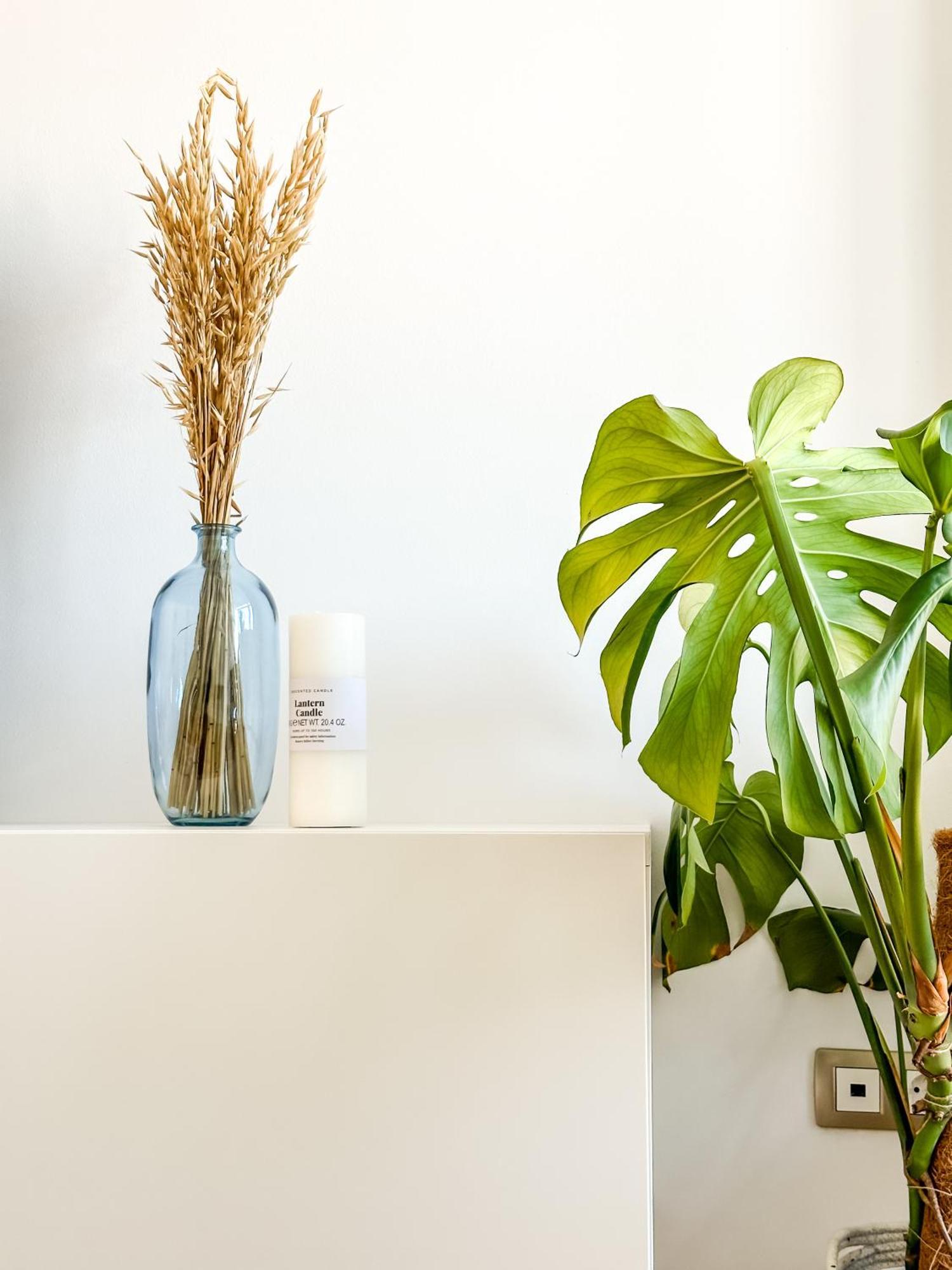 Apartamento Luar By Aloga Cee Dış mekan fotoğraf